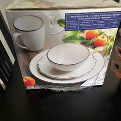 Dishes 