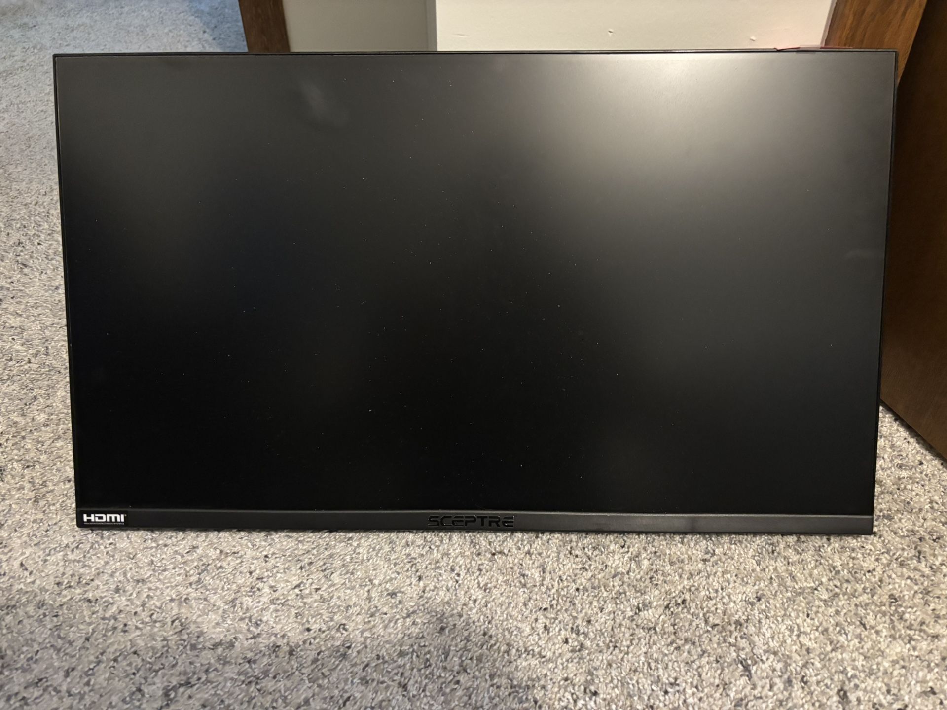 Sceptre 25 Inch Gaming Monitor 1080p 165 Hz