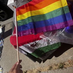 Small Rainbow Flag