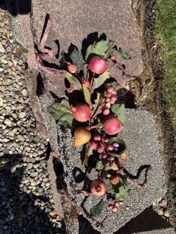 Artificial fruit, Garland