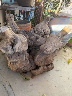 Large Natural Driftwood Burl Root Cluster