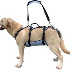 Dog Lift Harness