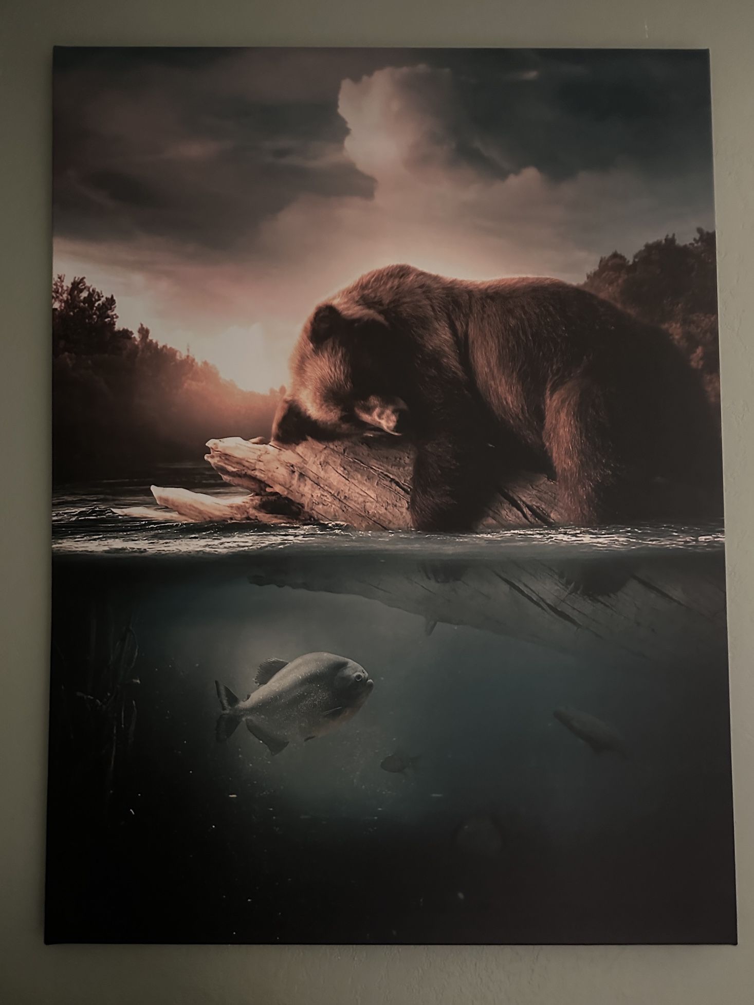 Floating Bear Canvas. 48x36. 2" thick. $25