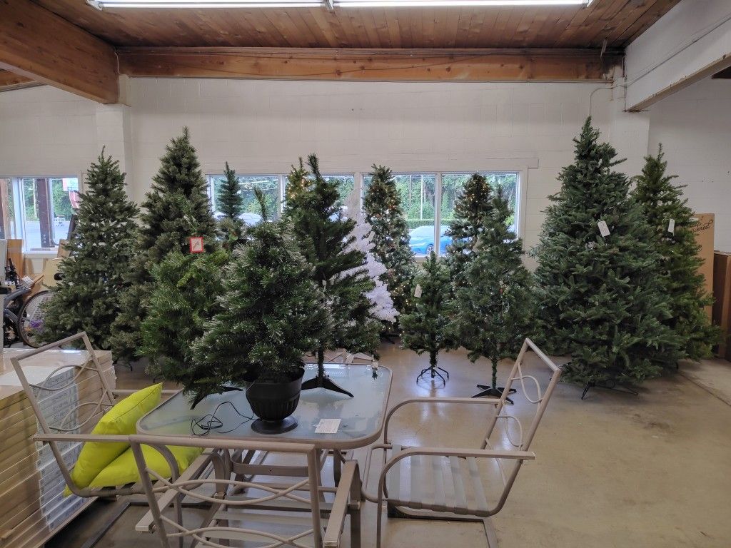 Xmas Trees $20-$150