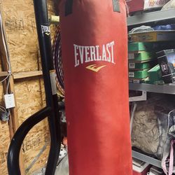 Everlast Punching Bag $350