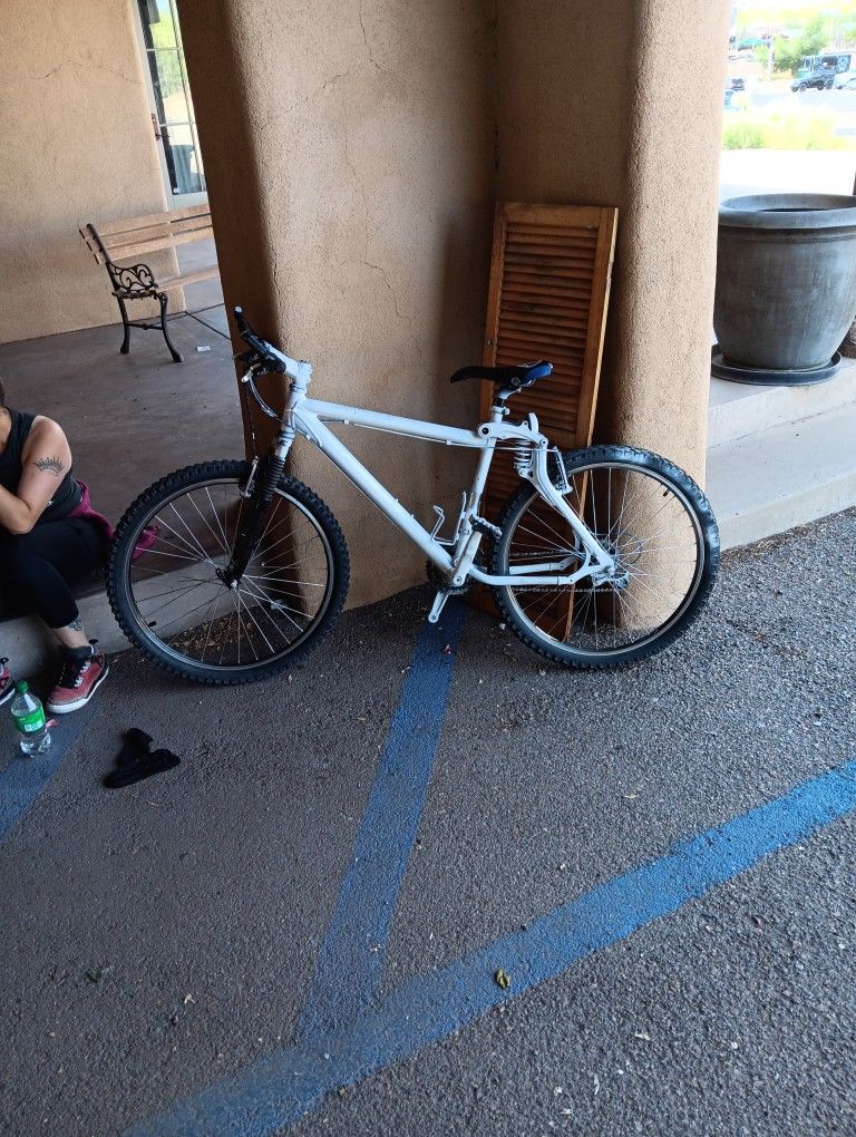 Vintage GT MOUNTAIN bike