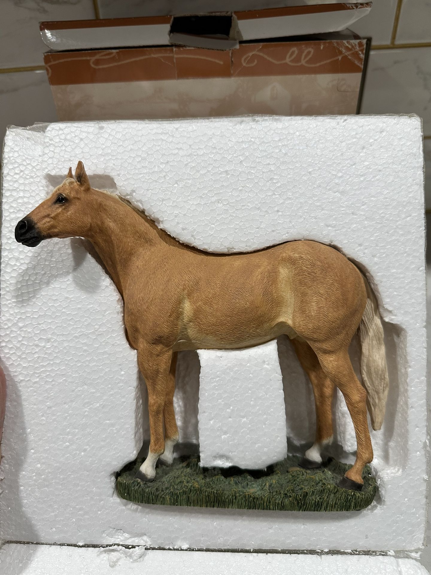 Quarter Horse Stallion Sandstone Horse
