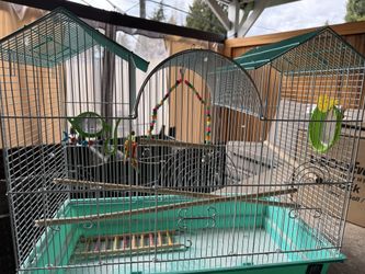 Bird cage with toys