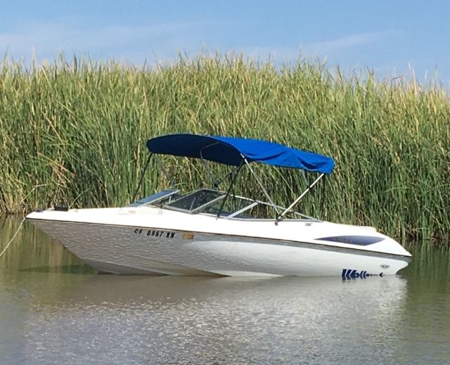 1996 Wellcraft 19SX