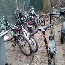 Bikes For Sale 