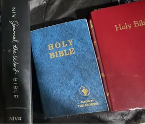 Bibles 4 Freel
