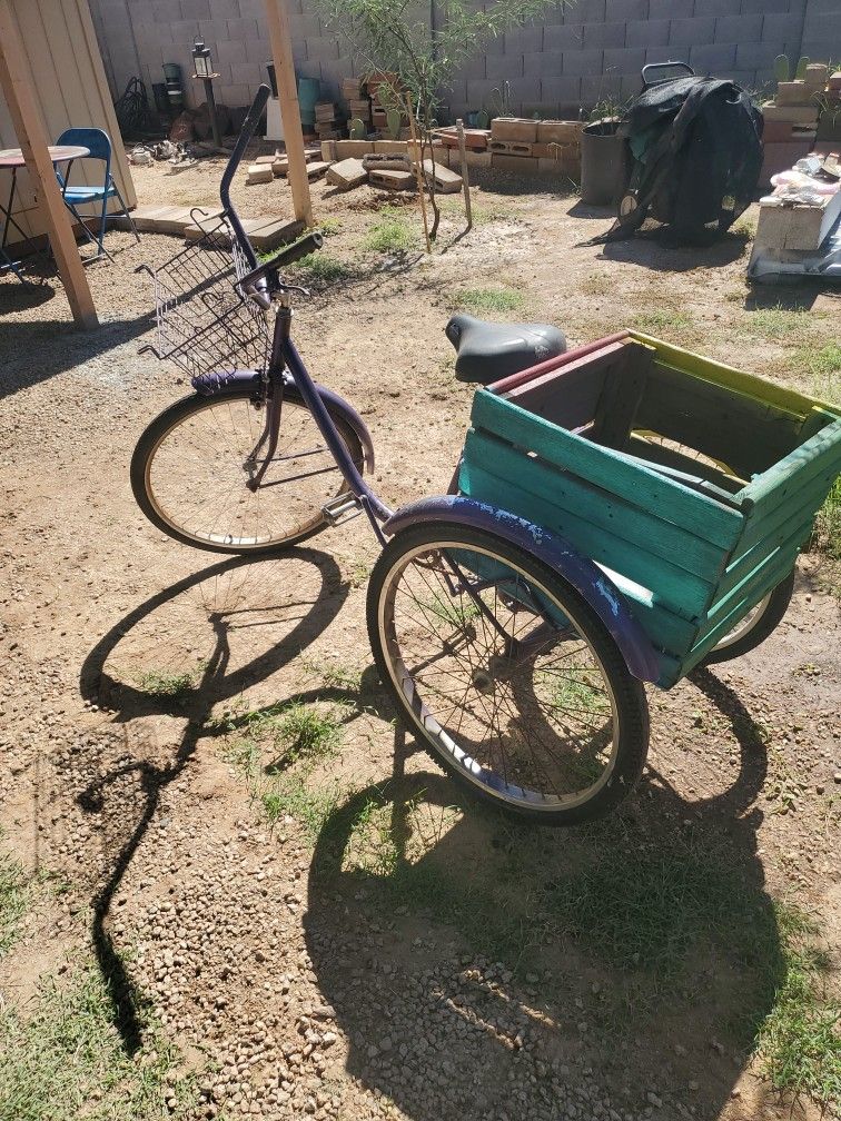 Adult Tracycle Old Need A Little Work I ASK $55.00
