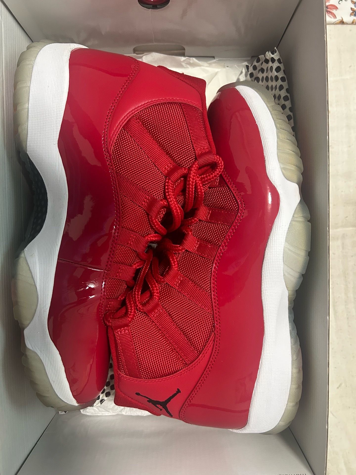 Air Jordan 11 Retro
