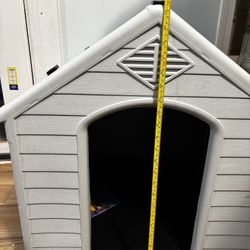 Dog House 