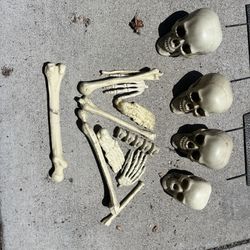 Miscellaneous Halloween Bones 