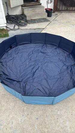 Free dog pool