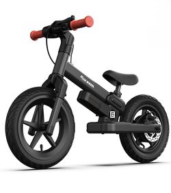 Electric Bike 5th wheel