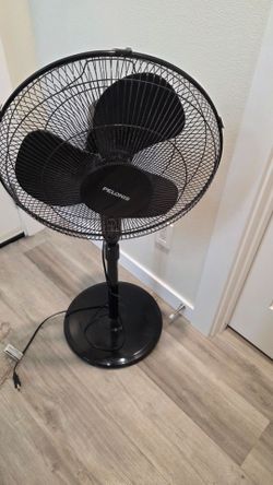 Fan