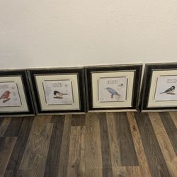 4 Pinturas de aves 