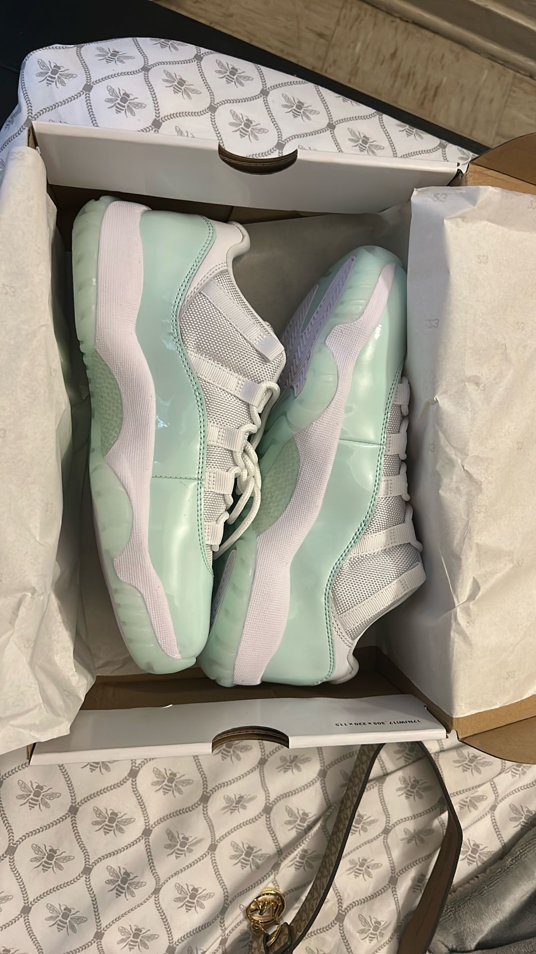 Jordan’s 11 Retro Low Igloo