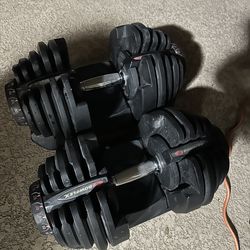 Bowflex 1090 dumbbells