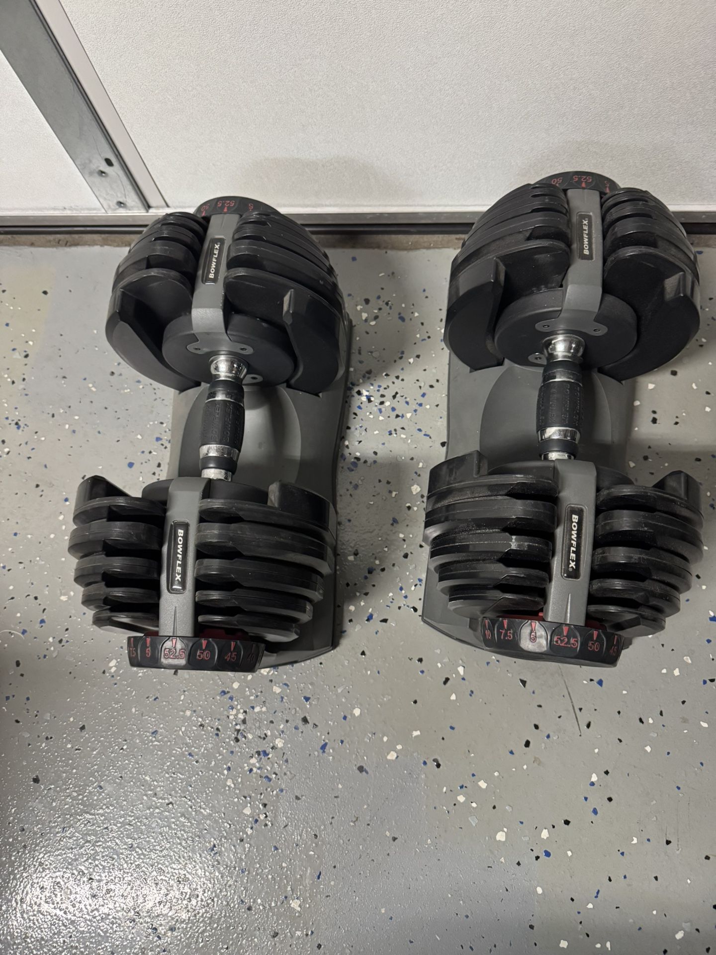 Bow flex 525 Dumbbells