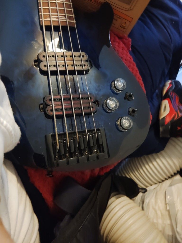 Brand New Sykter , 5 string Bass