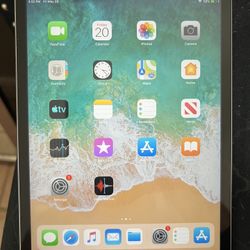 iPad Mini 2 