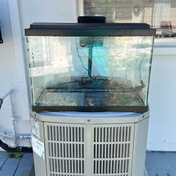 Fish Aquarium 29 Gallons 