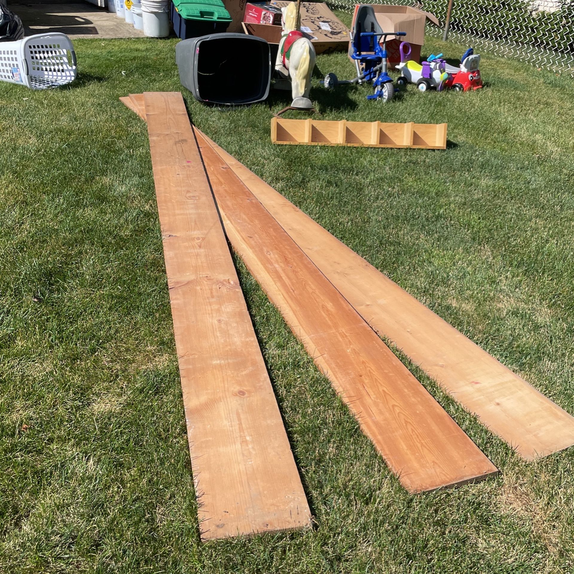 Pine Planks 1in X 12in x 14 Ft $18 Each