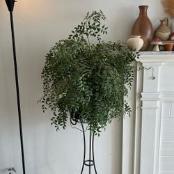 Smilax Plant in Faux  Copper Pot 