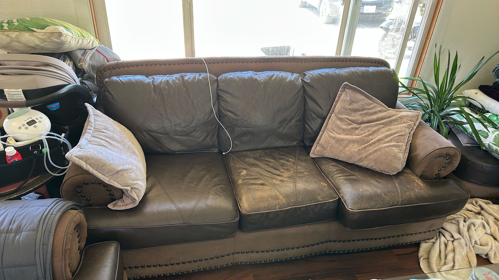 Couch’s