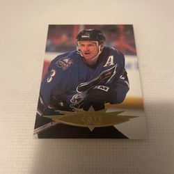 Hockey Skybox 1996 Sylvain Cote #321