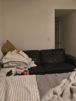 Free 2 seat leather couch
