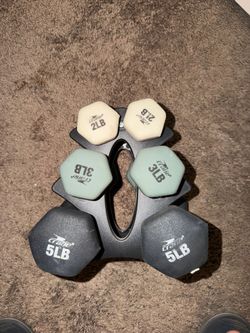 Gym Weights