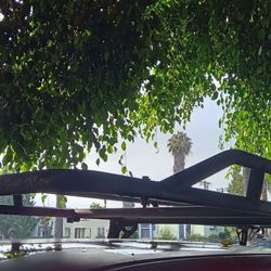 Roof Rack