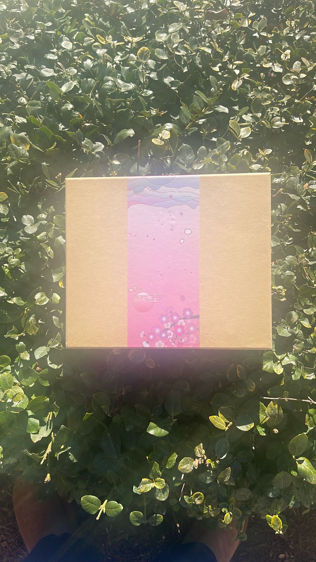 Pink Notebook, Pen And Cup Set