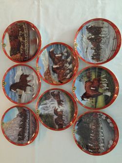 Bar stools/counter height