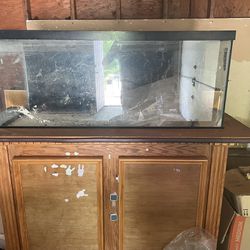 80 Gallon Aquarium Great Condition With Wooden Stand 
