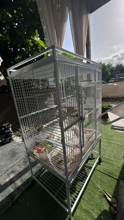Elegant Bird Cage ( Quaker And Up
