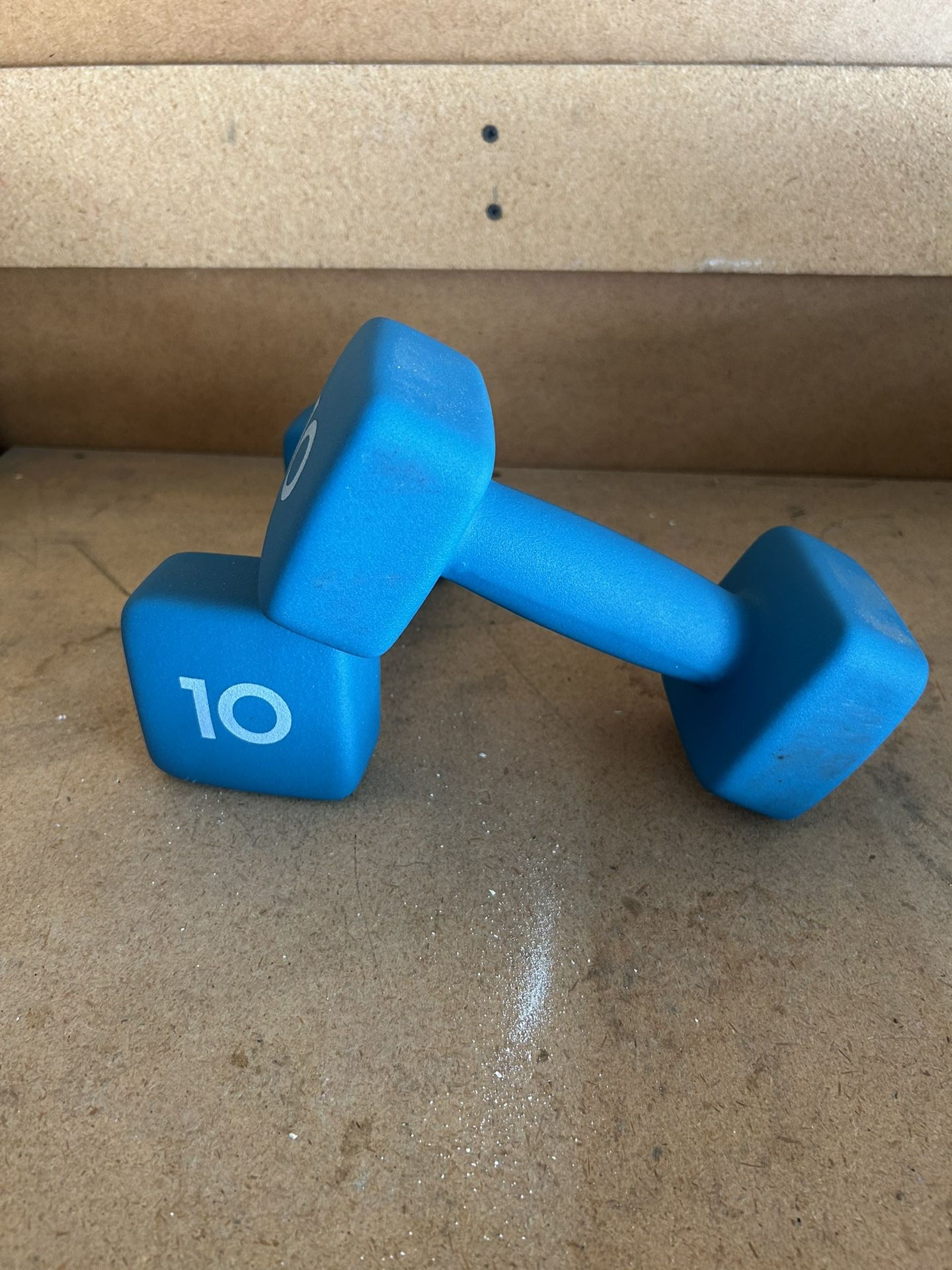 10 Lb Dumbbells