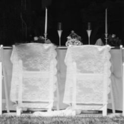 Wedding Chair Covers