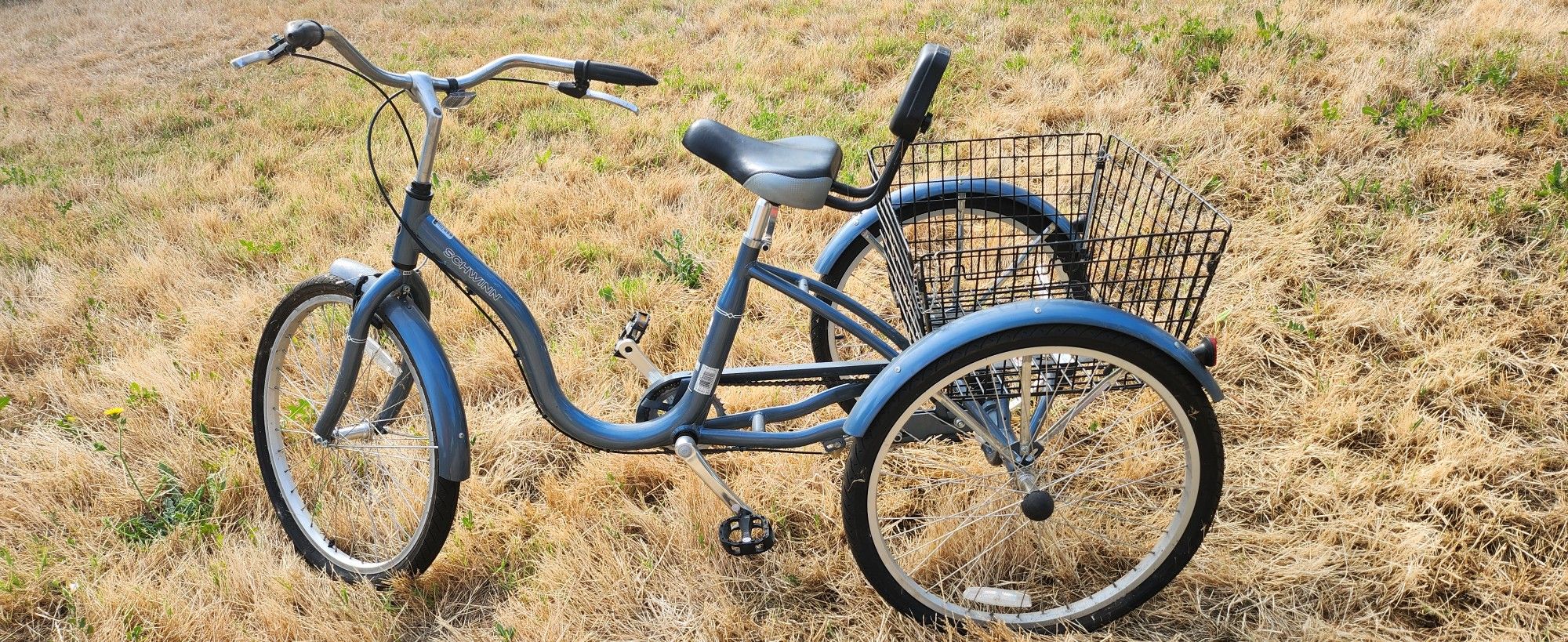Trike Bike by Schwinn