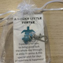 Lucky Turtle