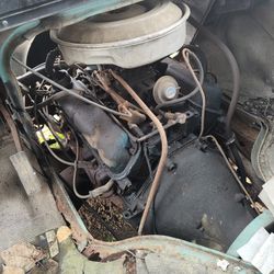 1979 302 V8