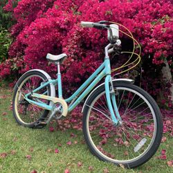 Liv Cruiser 7 Speed Beach Cruiser Bike In Great Shape 24" rims 