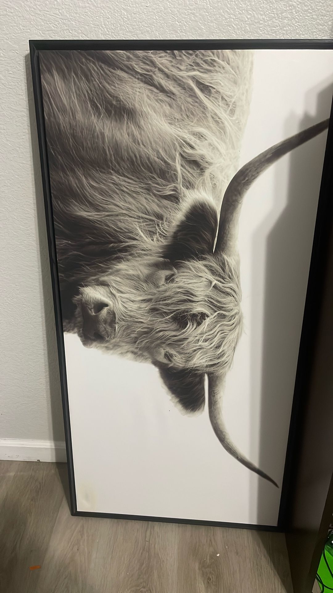 Large Cow Frame 