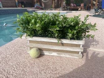 Beautiful Fake Plant