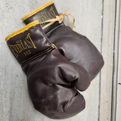 Vintage Boxing Gloves
