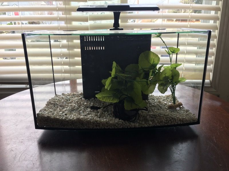 Petco bow cheap front aquarium
